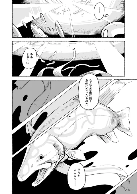 (5/5) 