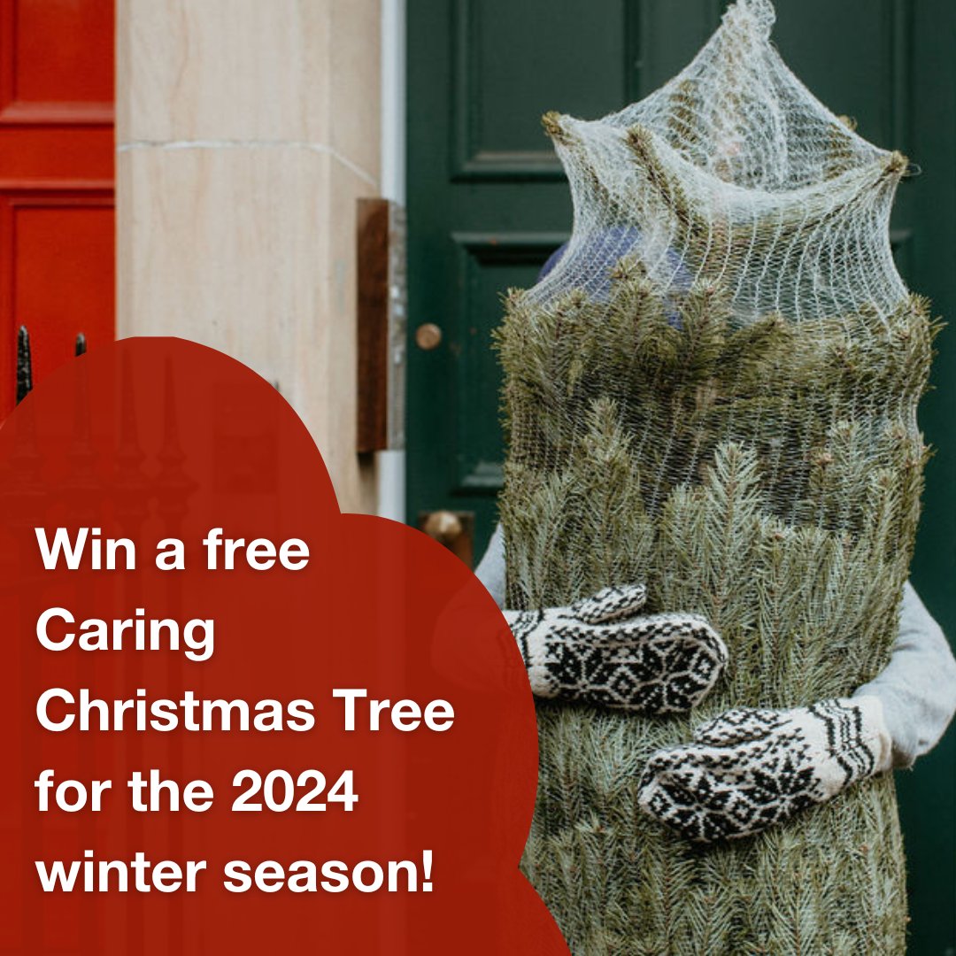 There is still time to complete our Supporter Survey and be in with the chance to win a Caring Christmas Tree for the 2024 winter season! 🎄 Take part at: docs.google.com/forms/d/e/1FAI…
