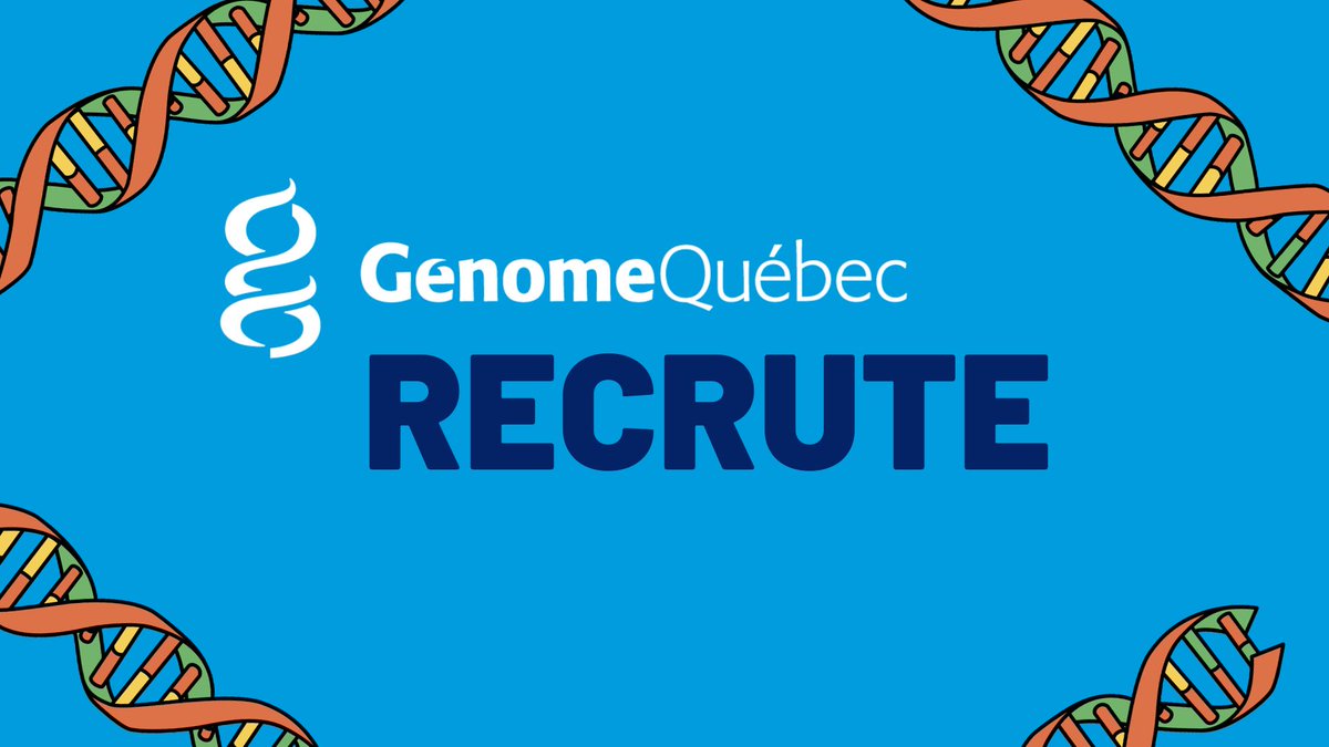 Génome Québec cherche la perle rare pour combler un poste de contrôleur ou contrôleuse, information financière, opérations et projets de recherche au sein de son centre administratif. 🫰🧬 Pour en savoir plus ➡️ rb.gy/m90s26 #onrecrute