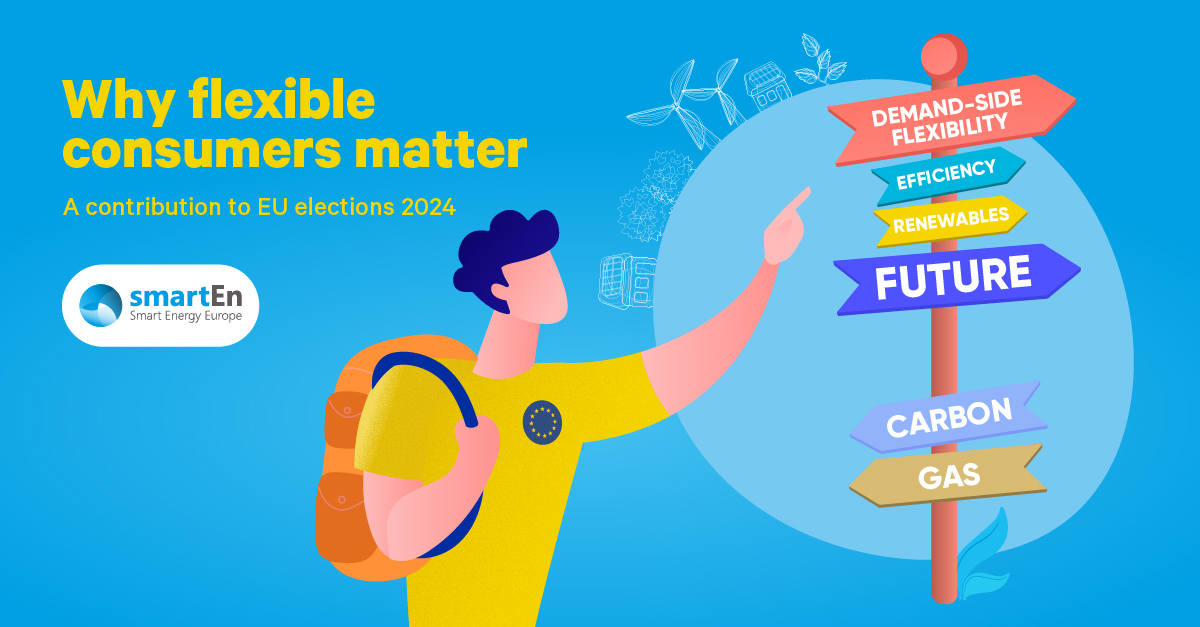 💡To inform the electoral debates ahead of the EU elections, smartEn published a guide for politicians & campaigners, on 𝐰𝐡𝐲 𝐟𝐥𝐞𝐱𝐢𝐛𝐥𝐞 𝐜𝐨𝐧𝐬𝐮𝐦𝐞𝐫𝐬 𝐦𝐚𝐭𝐭𝐞𝐫 & how their role can be key in the clean #EnergyTransition! ℹ shorturl.at/bzFW3