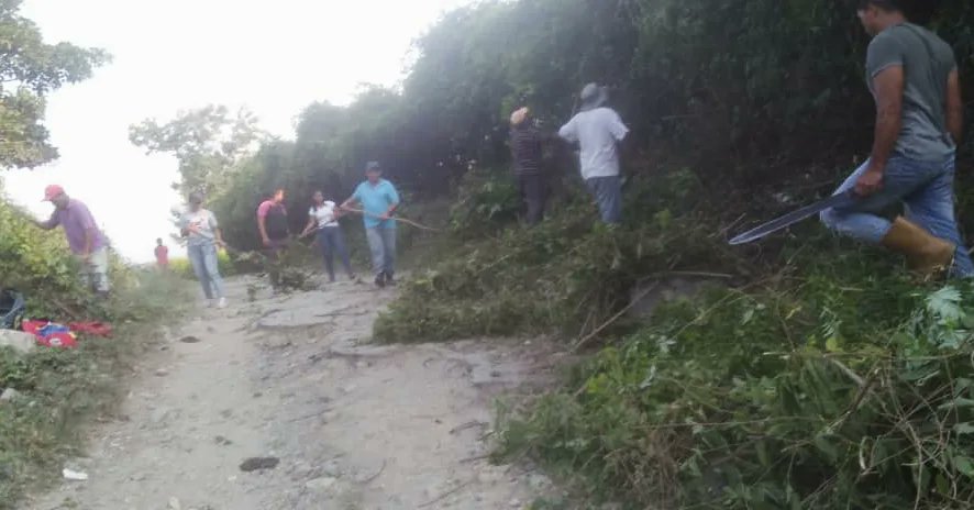 SAVA Trujillo || 🚜🌱 Dándo continuidad en el Estado Trujillo a través de las brigadas se ejecutan trabajos de limpieza y desmalezamiento de la via L001-S029 La Concepción y La Chapa de los sectores Agua Clara y El Algarrobo, con una distancia de aproximadamente de 8 km.