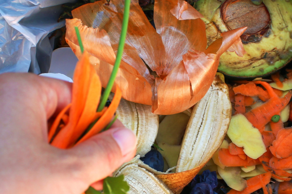 We are continuing to deliver food waste caddies to residents in the Tooting area, and Putney later in the week. Food waste collections start, the week beginning June 10 on your usual collection day. Any questions visit our webpage or use our online form ow.ly/gE2P50Ra2rQ