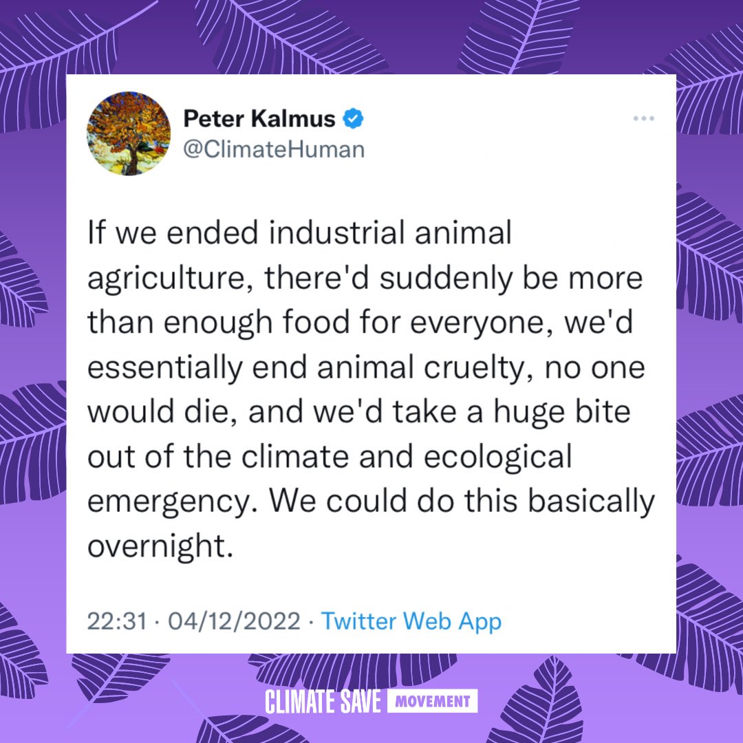 Animal agriculture is one of the largest drains on Earth’s resources, including deforestation and fresh water. The easiest and most impactful thing you can do to lessen our burden on the planet is to switch to a plant-based diet 🌱💚🌍 Wise words by @ClimateHuman 💙