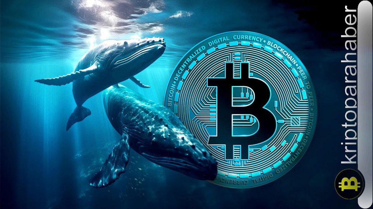 Bitcoin ayı piyasası sinyali veriyor: BTC balinaları birikim yaparken 51 bin dolara geri çekilme olası mı?

kriptoparahaber.com/haberler/btc-b…