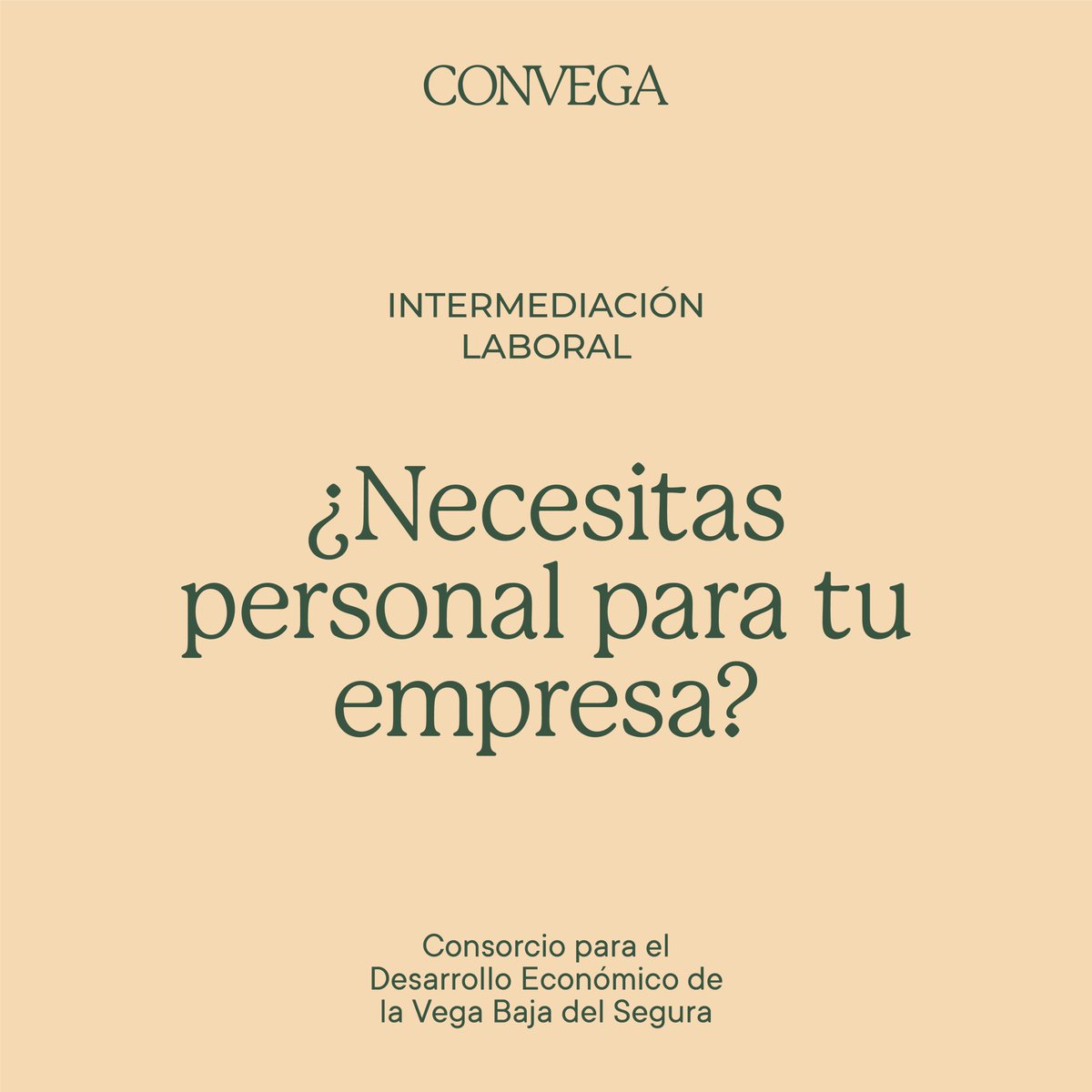 Necesitas incorporar profesionales a tu empresa? Te ayudamos a localizar el perfil profesional más adecuado. Si necesitas incorporar profesionales a tu empresa te ofrecemos un Servicio gratuito de Intermediación Laboral + info en convega.com/empleo/interme… o llamando a 965307072