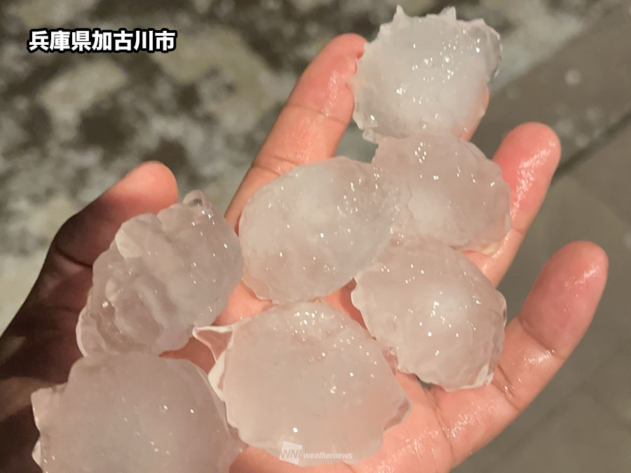 wni_jp's tweet image. 【兵庫でひょう】
姫路や加古川などでも、まるで白玉団子のような大きな雹が降りました。車などにへこみなどの被害が生じているとのコメントもあります。
weathernews.jp/s/topics/20240…