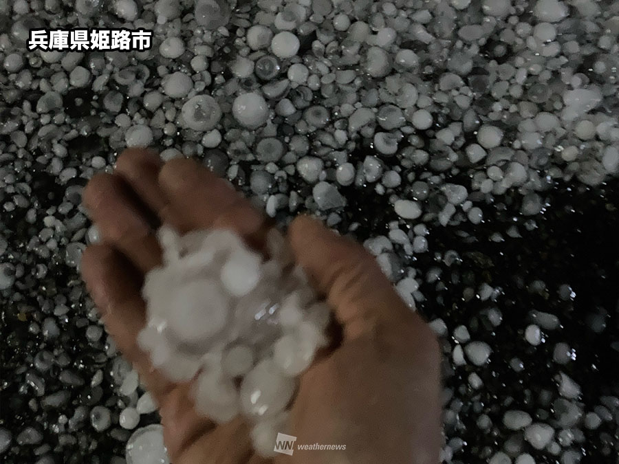 wni_jp's tweet image. 【兵庫でひょう】
姫路や加古川などでも、まるで白玉団子のような大きな雹が降りました。車などにへこみなどの被害が生じているとのコメントもあります。
weathernews.jp/s/topics/20240…