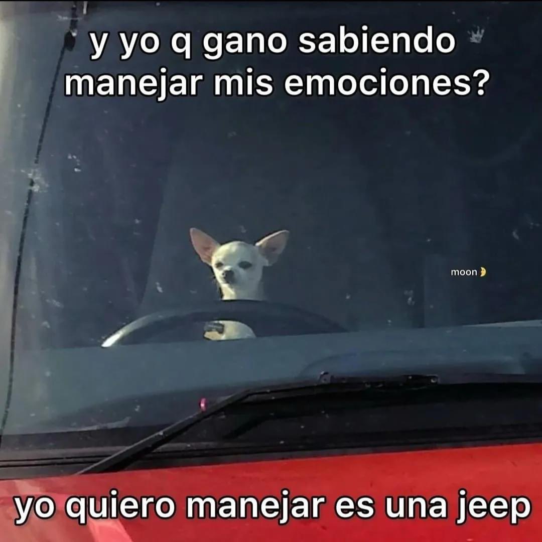 Y es una Rubicon mejor 😝