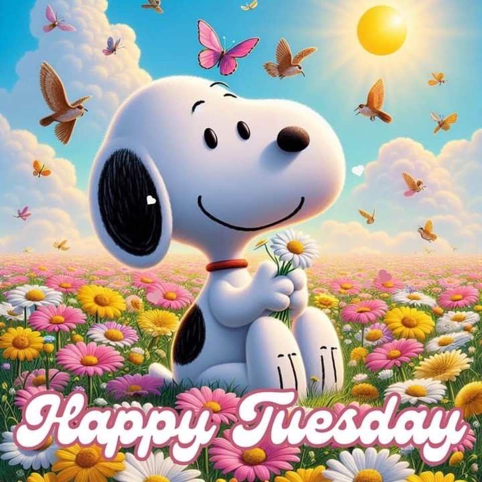 🌞 Rise n Shine Tuesday Angels! @Hamstertweet93 @blackjag63_LH @WilliamFPeters2 @lucci_bill 📷 @JustMaxWilson @Nguyen_anime3 @nappi8707 @jimstep260853 @padme_star @mstjssauce @Beleafer1 @debbie2291 @MikeLohr7 🩷🩷🩷🩷🩷🩷🩷🩷🩷🩷🩷🩷🩷