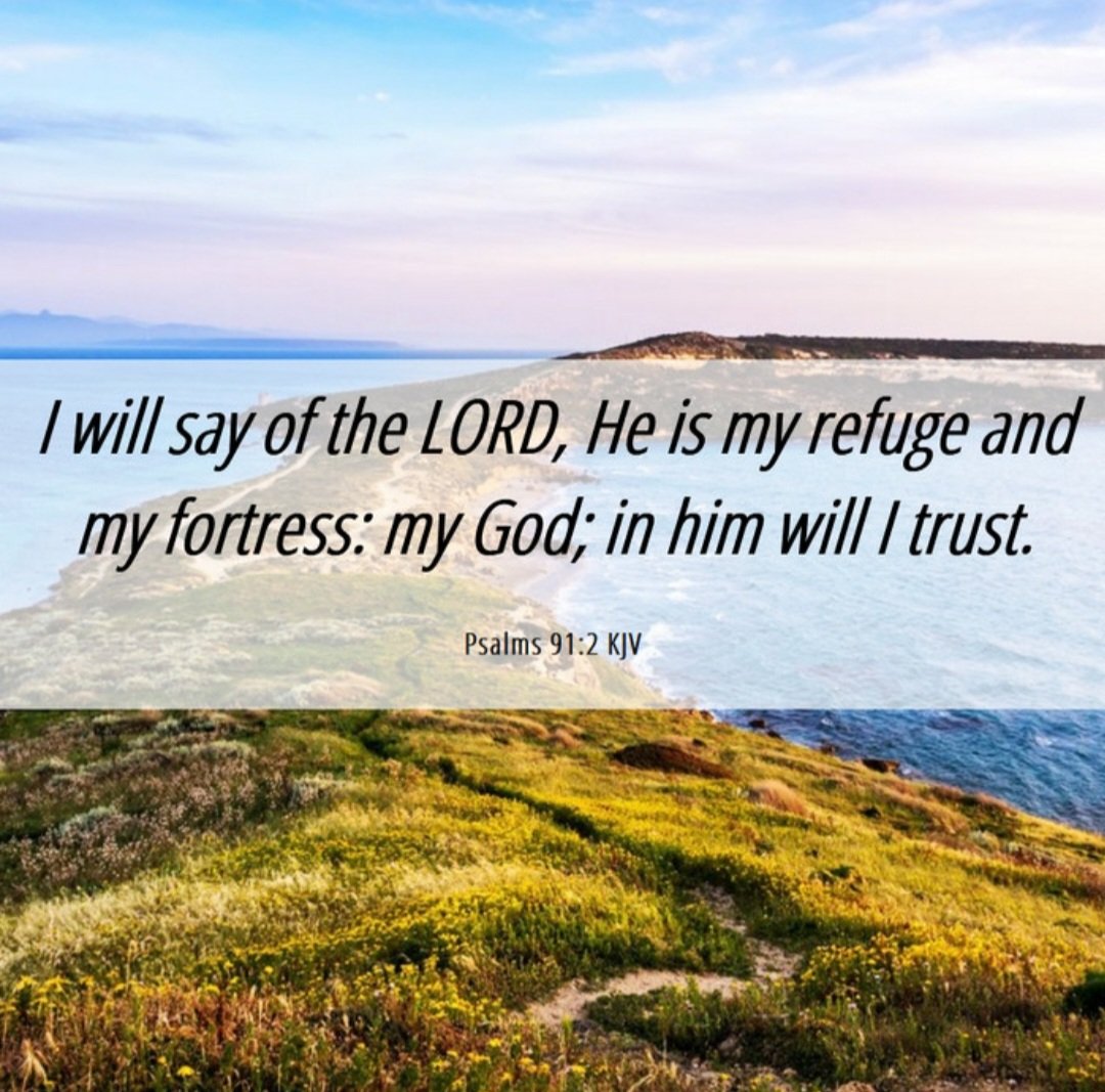 Trust in the LORD with all your heart.