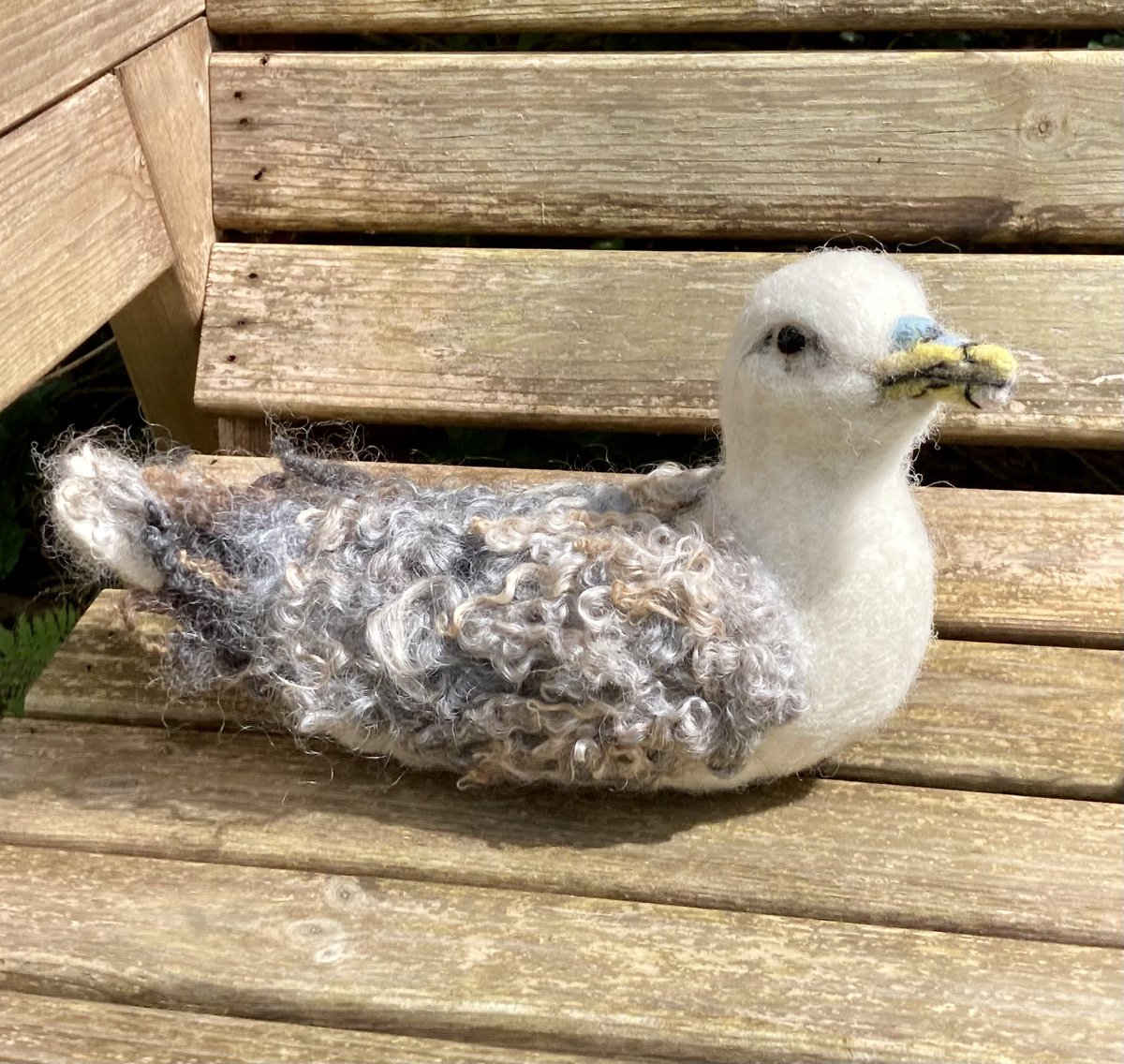 Wool sculpted Fulmar. Creating for an art exhibition at the end of May. I am going to be joining proper artists!