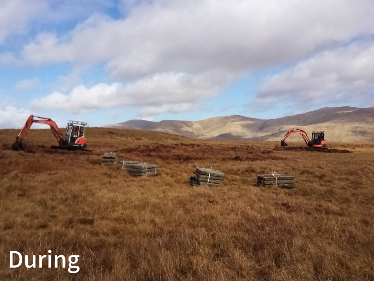 Cumbria_Peat tweet picture