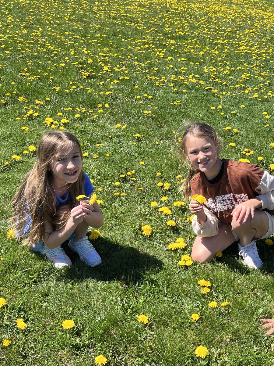 A beautiful day to be outside! 🌼🌞