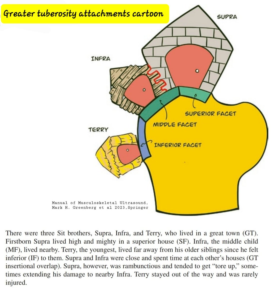 The power of a story telling in Anatomy learning👍👏😊 Greater tuberosity attachments cartoon👍