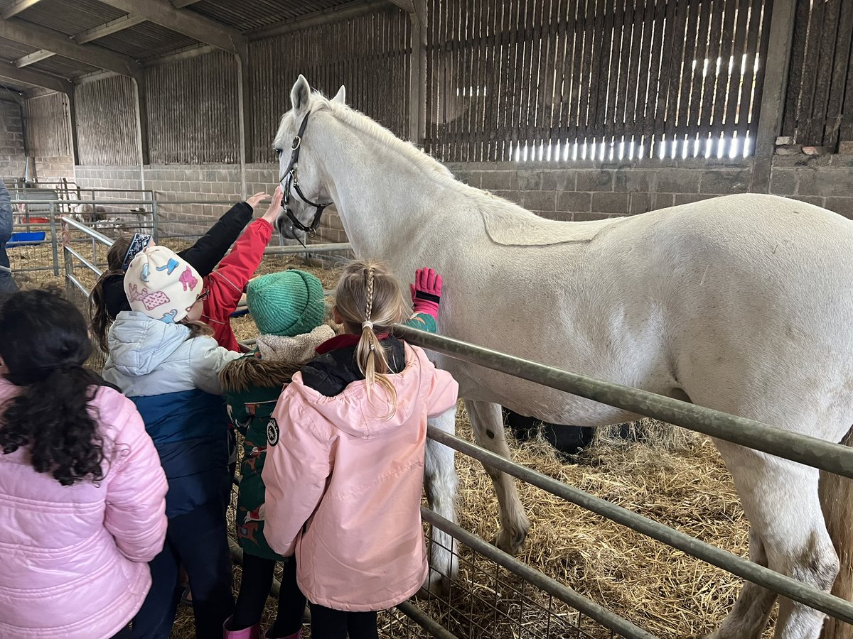 What a fantastic morning at the farm learning all about lambing season! We were able to watch 3 lambs being born and learn about the care and support they need. Thank you to Mr & Mrs Owen for welcoming us again and sharing your knowledge with us. @Rise_MAT #livinglifetothefull