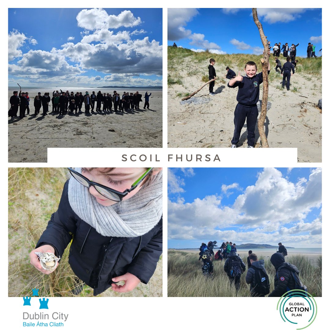 Today we were in Bull Island with Scoil Fhursa, Kilmore. As part of our #Biodiversity Stewardship programme, we learnt about the different habitats and creatures. We had a brilliant day! Thanks to @DubCityCouncil for supporting this work.