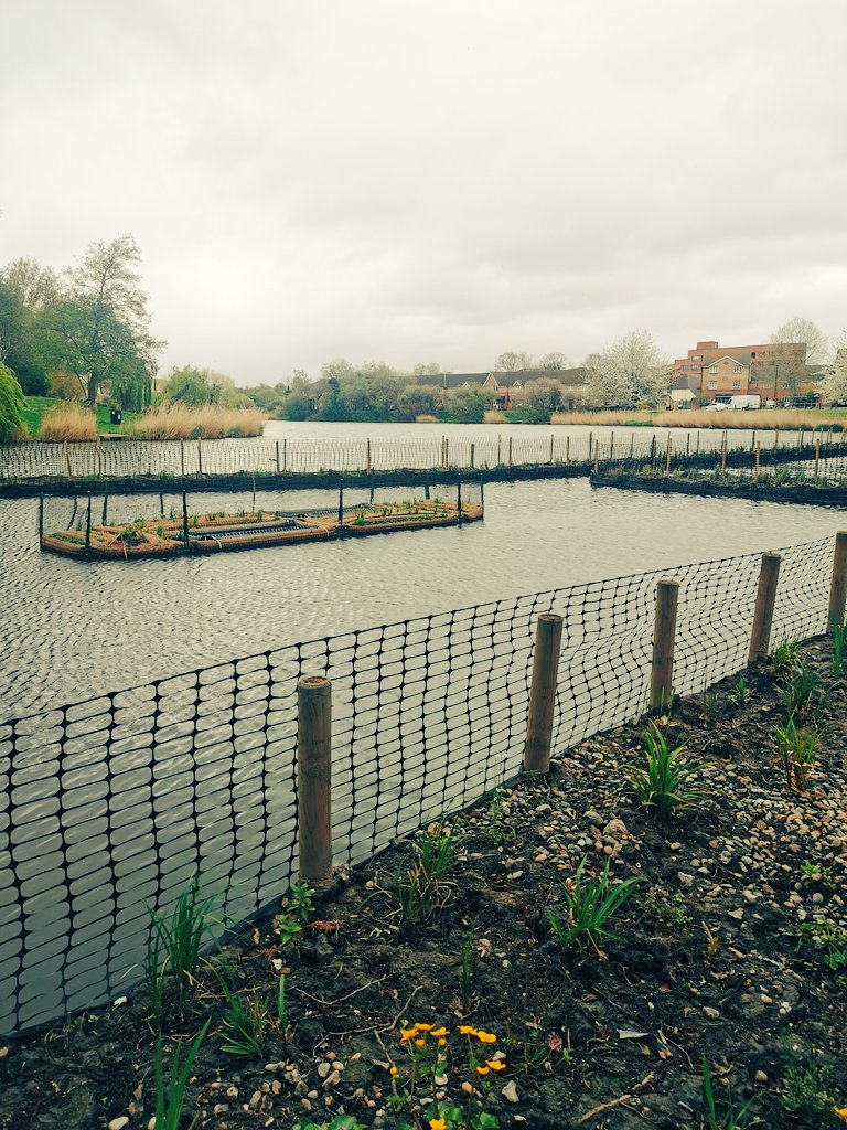 Do you live in #thamesmead? Come along to Gallion's Lake Thursday the 25th at 5:30pm to take a leisurely stroll with <a href="/Thames21/">Thames21</a> and discover the secrets of floating wetlands and how they are revitalising the lake's ecosystem. book.plinth.org.uk/e/JYiK5o1EZLcH…
<a href="/Thames21/">Thames21</a> <a href="/PeabodyLDN/">PeabodyLDN</a>
