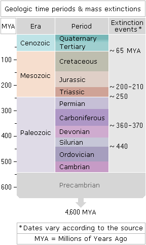 IBDP Environmental Systems & Societies: 3.2 Mass Extinctions and the 6th Extinction dlvr.it/T5ZZSV