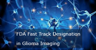 Telix Pharmaceuticals Announces the FDA Has Granted Fast Track Designation to TLX101-CDx for Glioma Imaging check the link for more info ow.ly/zVVe50Rh0iv @TelixPharma #Glioma #BrainCancer #CancerImaging