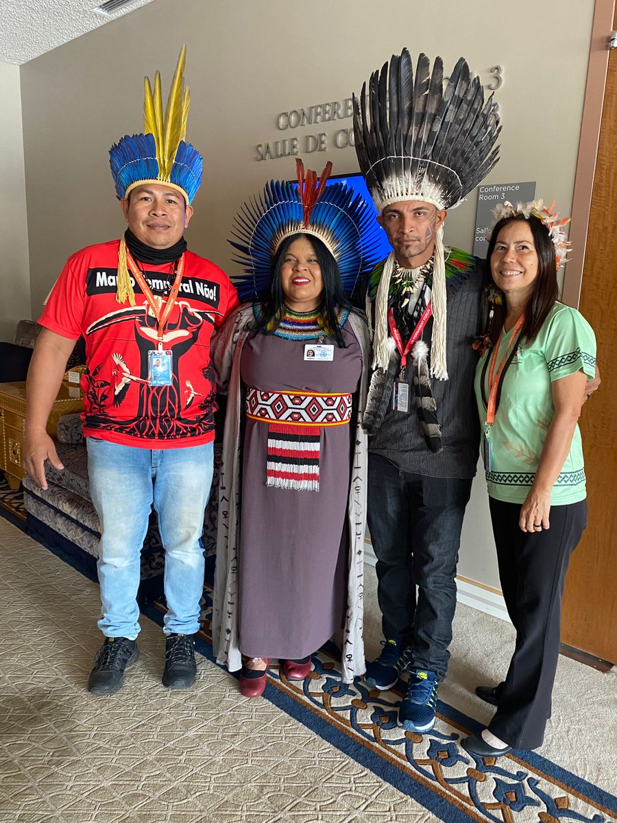 repam_amazonia's tweet image. 16 de Abril de 2024, se dio inicio la sesión del Foro Permanente de las Naciones Unidas para las Cuestiones Indígenas (#UNPFII) en la Sede de las Naciones Unidas en Nueva York.

@un4indigenous @unep #indigneous @undesasocial #repam10años #amazonia