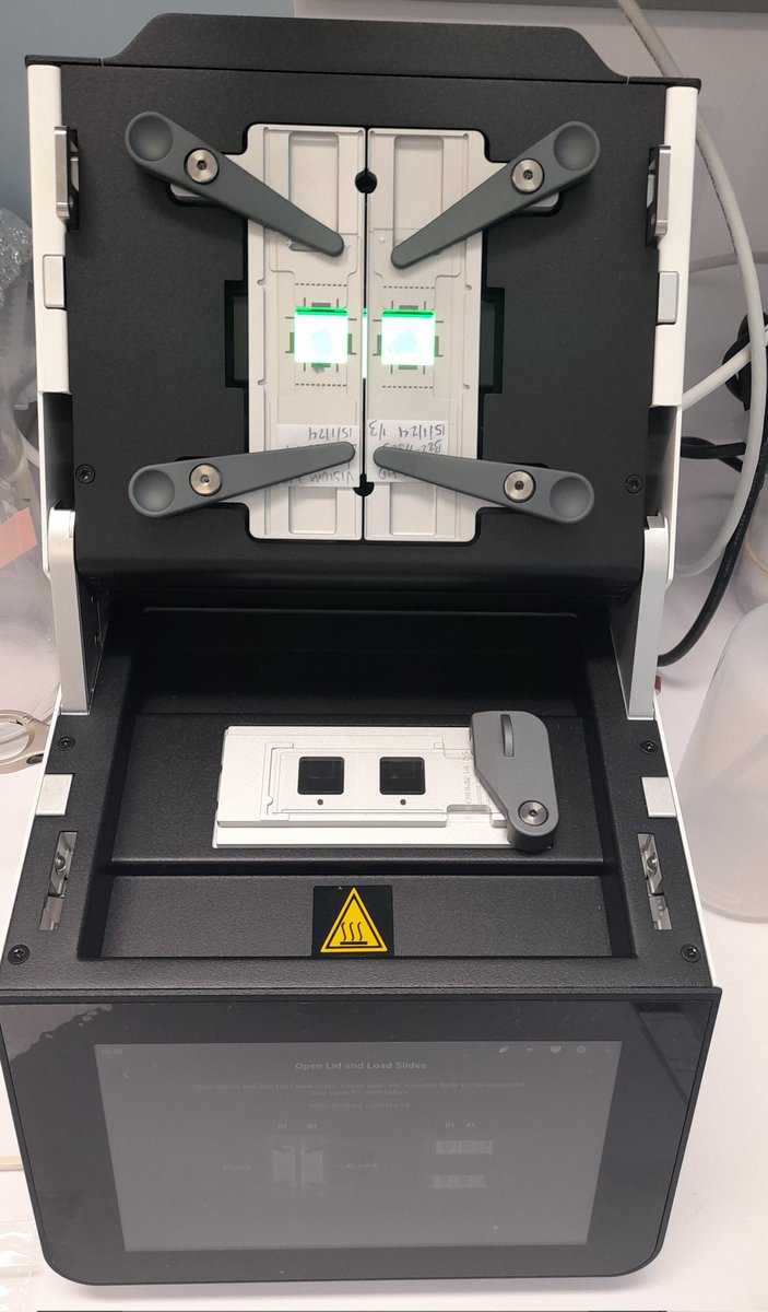 Running VISIUM HD for the first time!! <a href="/10xGenomics/">10x Genomics</a> <a href="/BonsaiLab_com/">BonsaiLab</a> <a href="/CarrerasIJC/">Josep Carreras Leukaemia Research Institute (IJC)</a> <a href="/eportacangen/">Eduard Porta</a> not an easy protocol but I think we will manage 😉