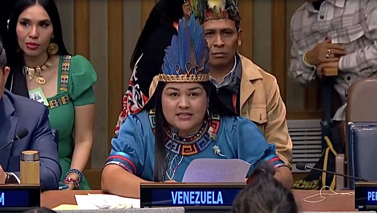 Ministerio Indígena tweet media