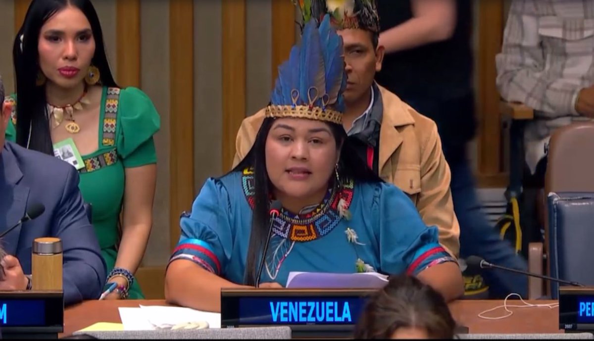 Ministerio Indígena tweet media