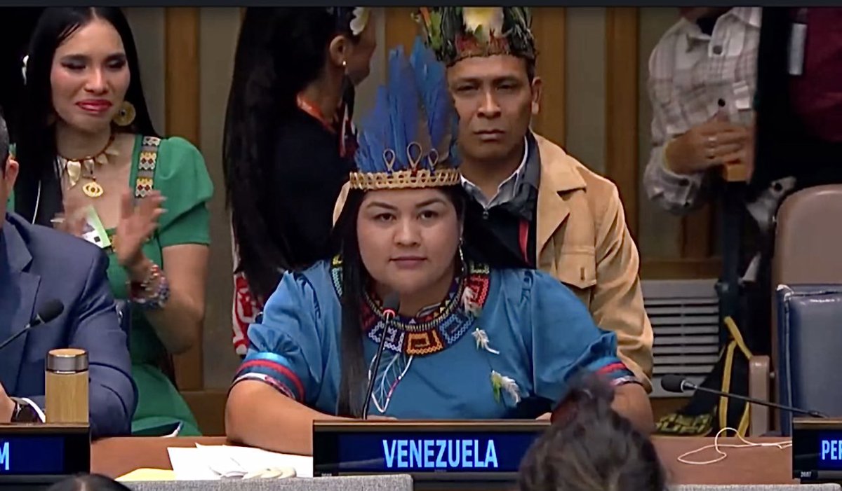 Ministerio Indígena tweet media