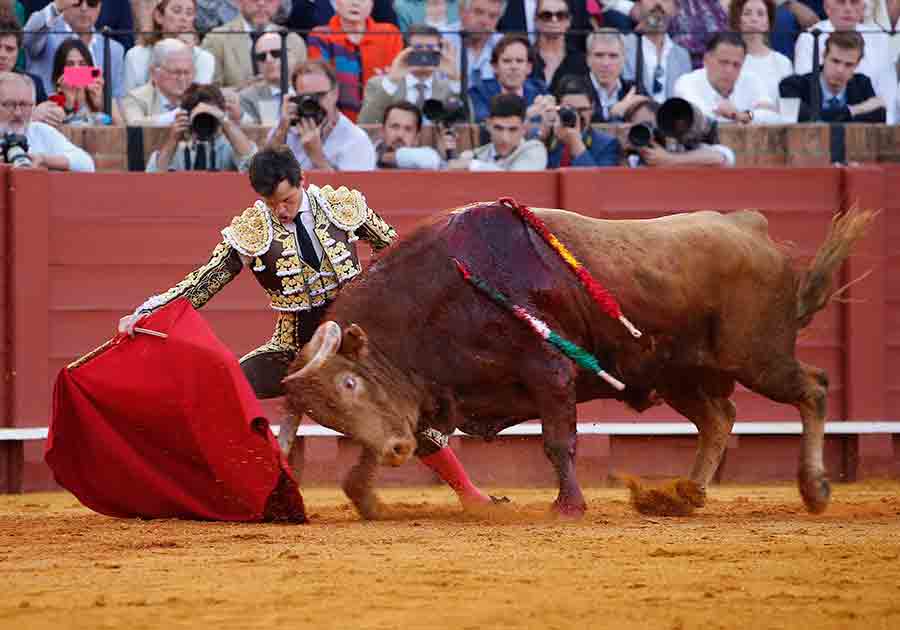 CRÓNICA (8ª Feria Abril).- Juan Ortega o el arte de torear / Por Francisco Mateos (sevillataurina.com/2024/04/15/jua…) @sevillataurina @Toromedia12 @utaa_sevilla @isanchezmejias @luisdepauloba @ftorodelidia @JuntaSevilla @OneToroTV @MoranteTour @juanortegapr @DanielLuque13 @DanielLuque12