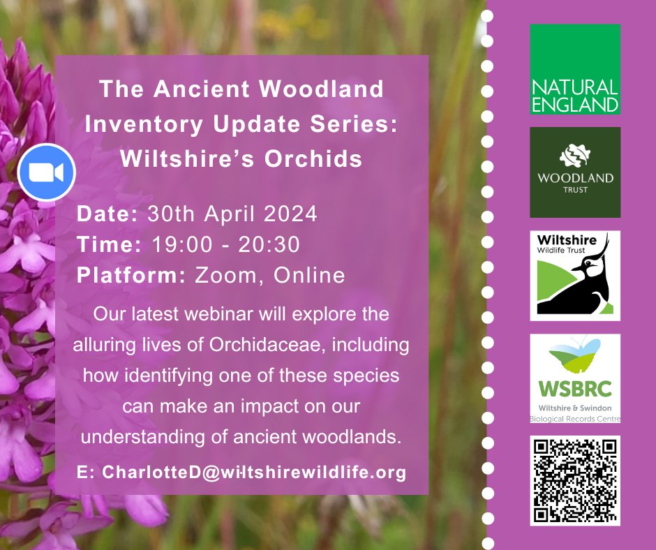 ‼️ NEW WEBINAR ALERT ‼️ Join our Ancient Woodland Inventory Officer as we take a closer look into the mysterious and alluring lives of Wiltshire's Orchids🪻 Find out more here ⬇️ eventbrite.co.uk/e/ancient-wood…