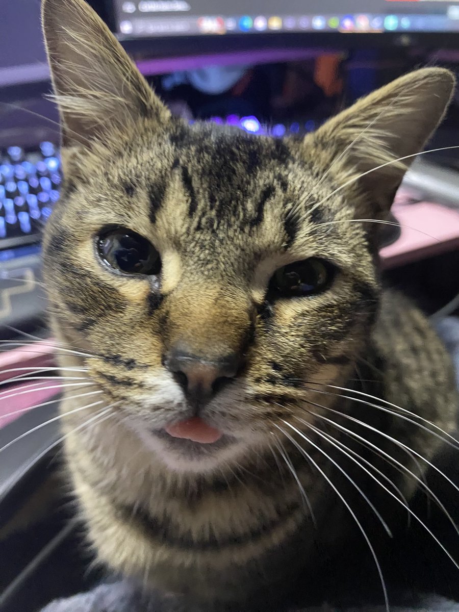 Koyote (Villain Arc) tweet media