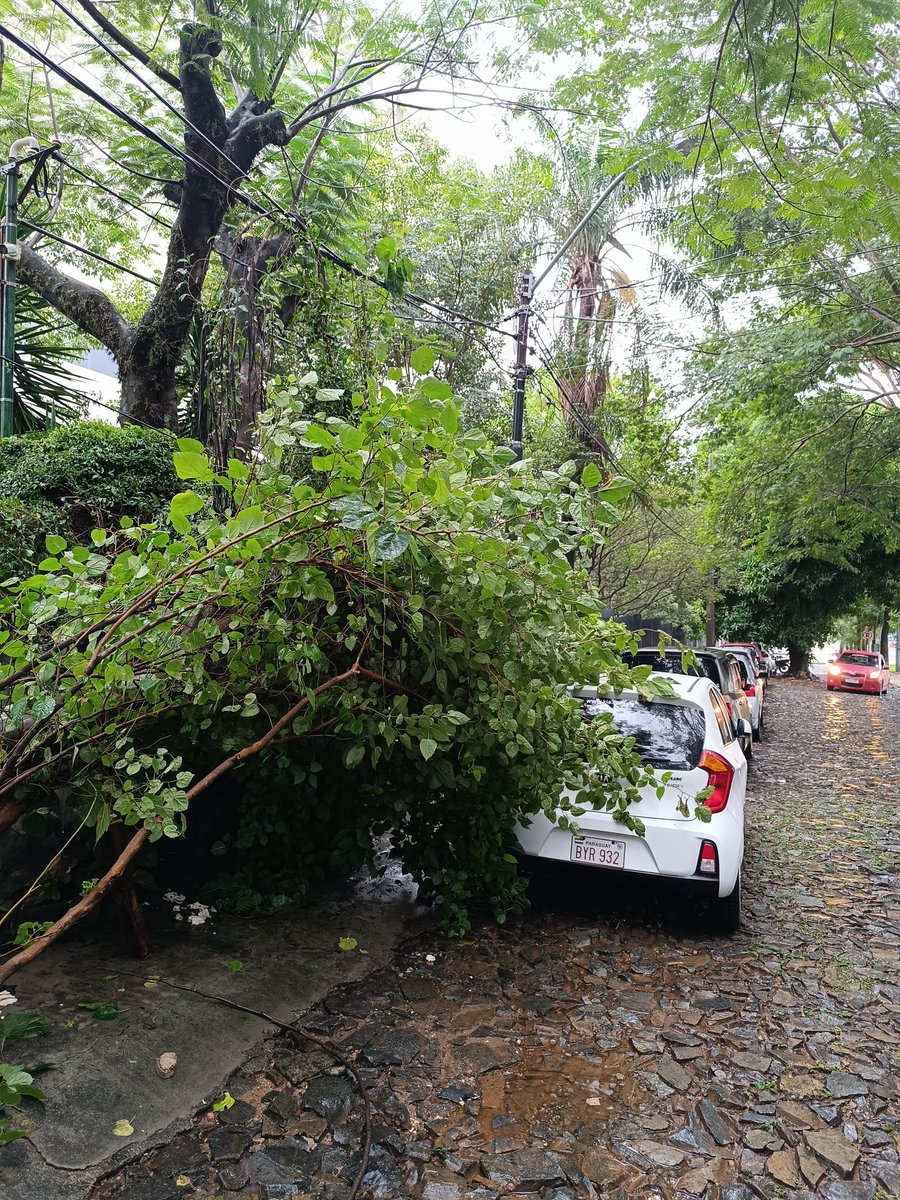 Sebas Bender tweet media