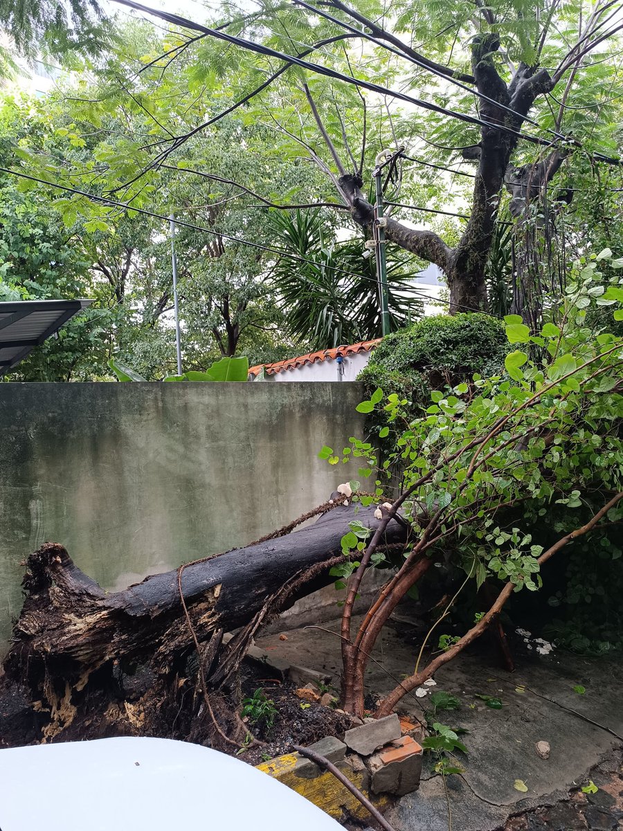 Sebas Bender tweet media