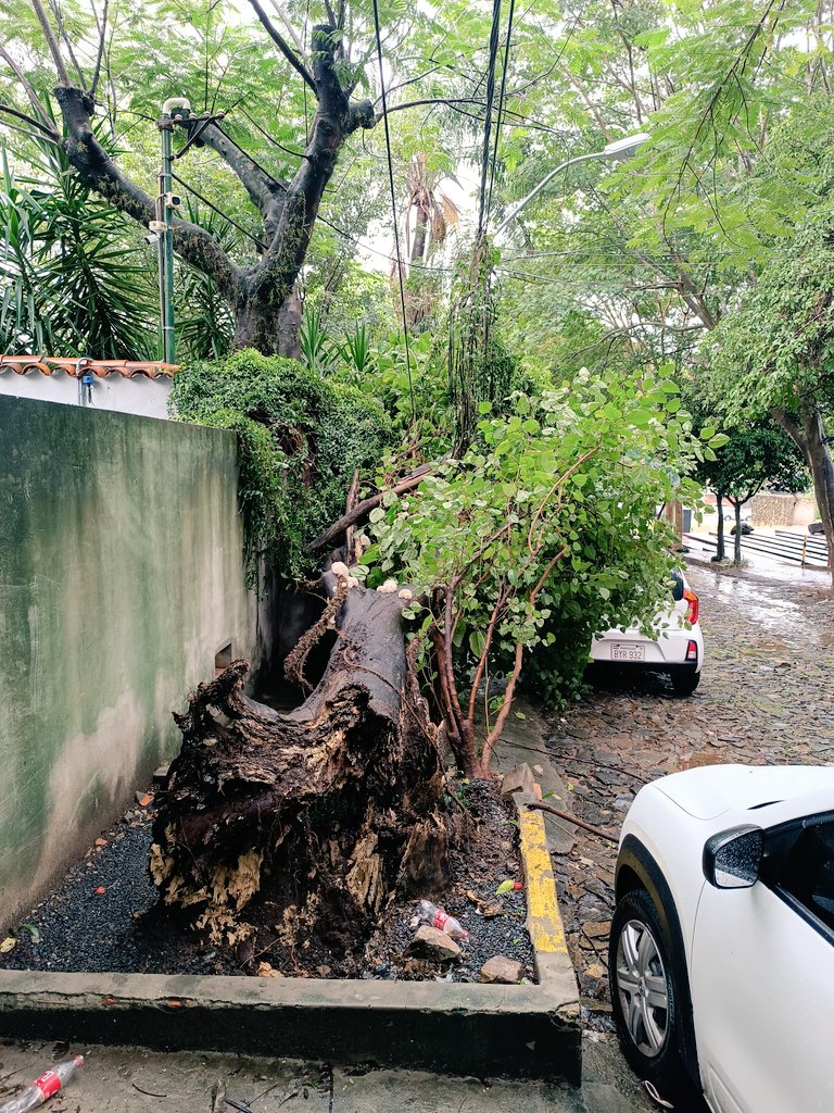 Sebas Bender tweet media