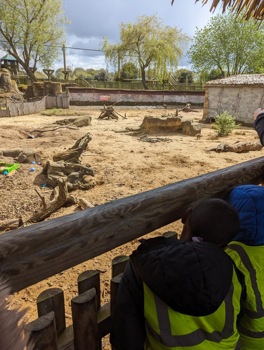 Uptonclass2MF's tweet photo. Meerkat spotting! https://t.co/OVWWDgiV8H