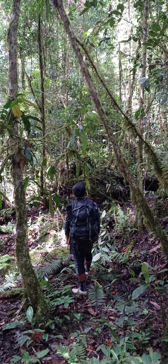 Arlo Hinckley (@arlohinckley.bsky.social) tweet media