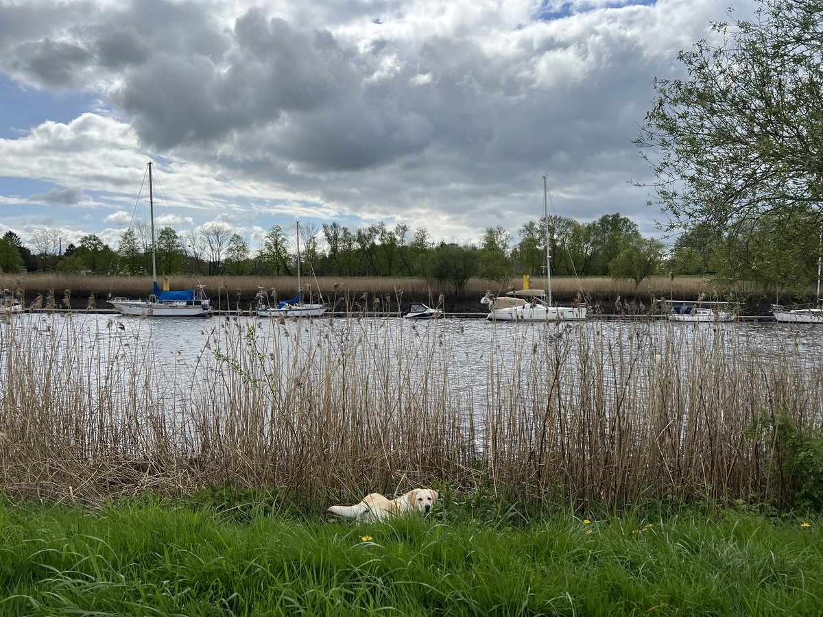 havengalerie's tweet photo. Leben, wo andere Urlaub machen ☺️✌🏼☮️
#bremen #lesum https://t.co/SOgX0GlCOi