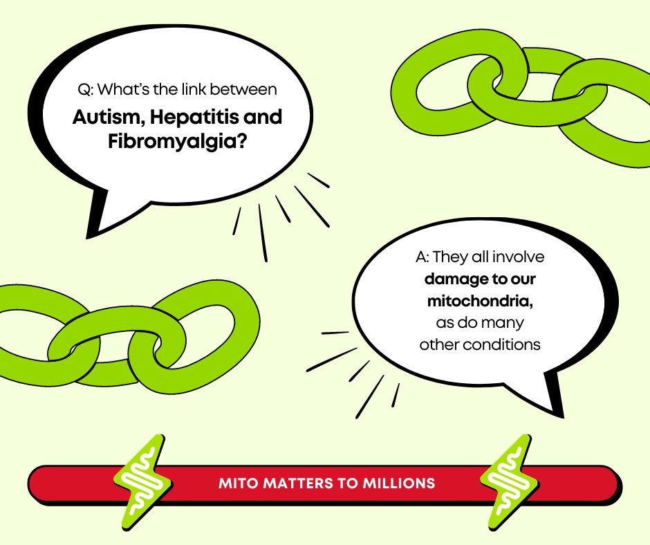 For more information about why mitochondrial research matters to millions click the link below
mymitomission.uk/#why-does-mito…

#mymitomission #mitomatterstomillions #mitochondrialdisease #supportus #joinourmission #autism #hepatitis #fibromyalgia #mitochondrialdysfunction