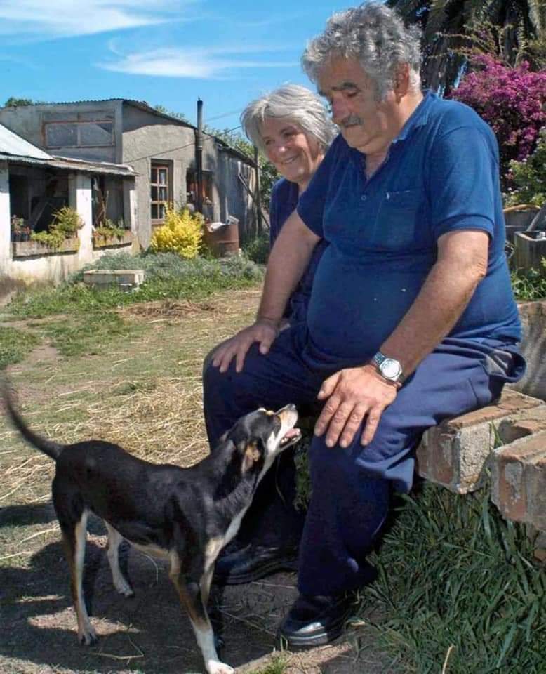 Pepe Mujica....sin escoltas sin palacios... fué presidente de Uruguay... cuando terminó se fué a su casa...no no todos los políticos son iguales..