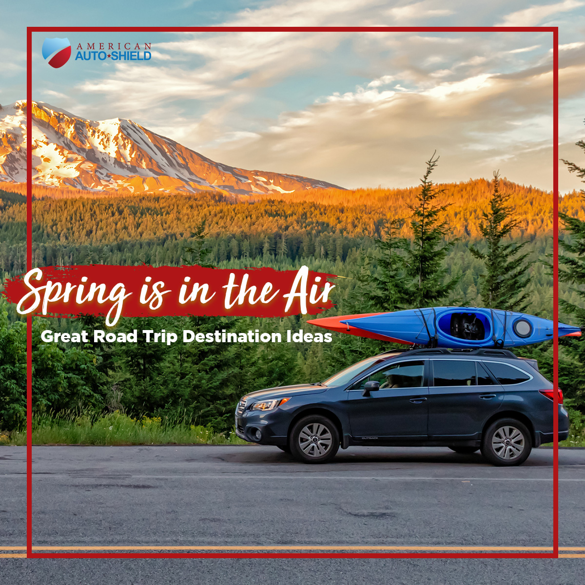 American Auto Shield tweet media