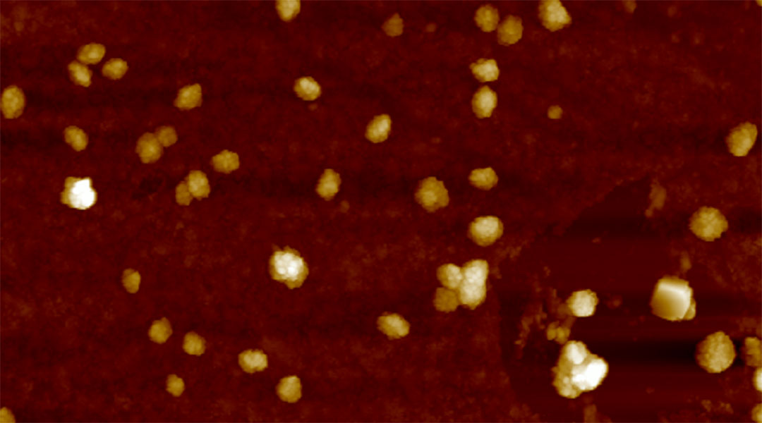 Peptide-laden vesicles light up in the presence of amyloid beta, providing an early diagnostic test (and possible treatment) for Alzheimer's disease. Learn more: ow.ly/eseY50RgZZG