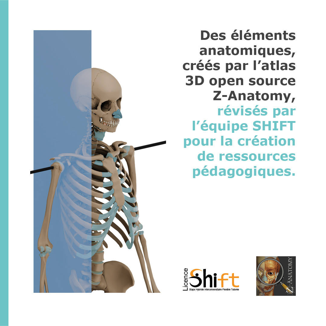 ProjetShift's tweet photo. 𝗖𝗼𝗻𝗻𝗮𝗶𝘀𝘀𝗲𝘇-𝘃𝗼𝘂𝘀 𝗭-𝗔𝗻𝗮𝘁𝗼𝗺𝘆 ❓
- Pas “Grey’s Anatomy” la série. - Nous parlons bien de Z-Anatomy, l’atlas 3D d’#anatomie humaine 𝘰𝘱𝘦𝘯 𝘴𝘰𝘶𝘳𝘤𝘦 ! https://t.co/BnzlMnWYwT
