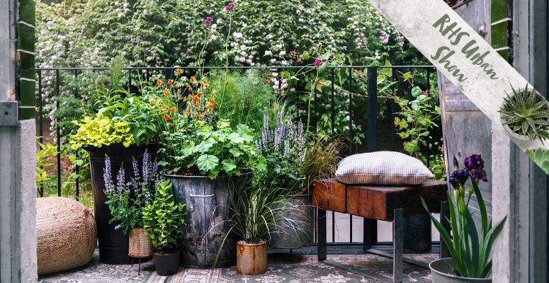 9 top tips for balcony gardens according to Chelsea designers 🌿 Ahead of this year’s show, here are a few top tips from Chelsea designers on creating an inviting balcony garden. 👉 buff.ly/3JfluFj #RHS #Urban #BalconyGardens