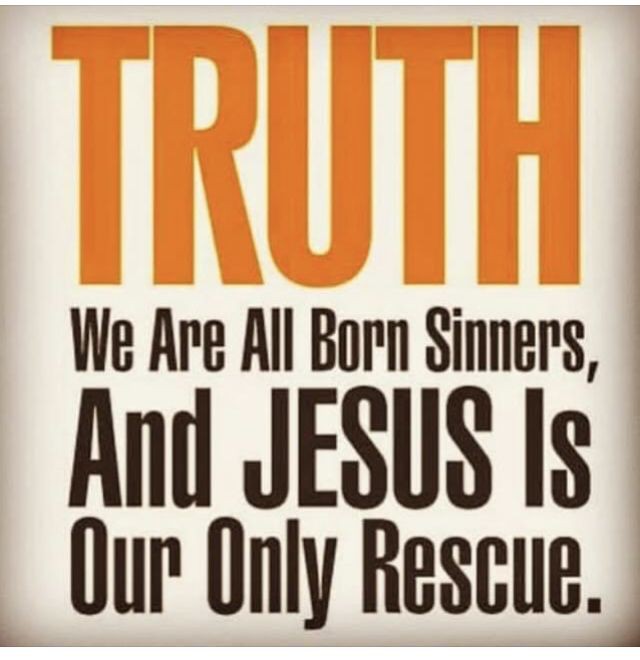 Francis Anita tweet media