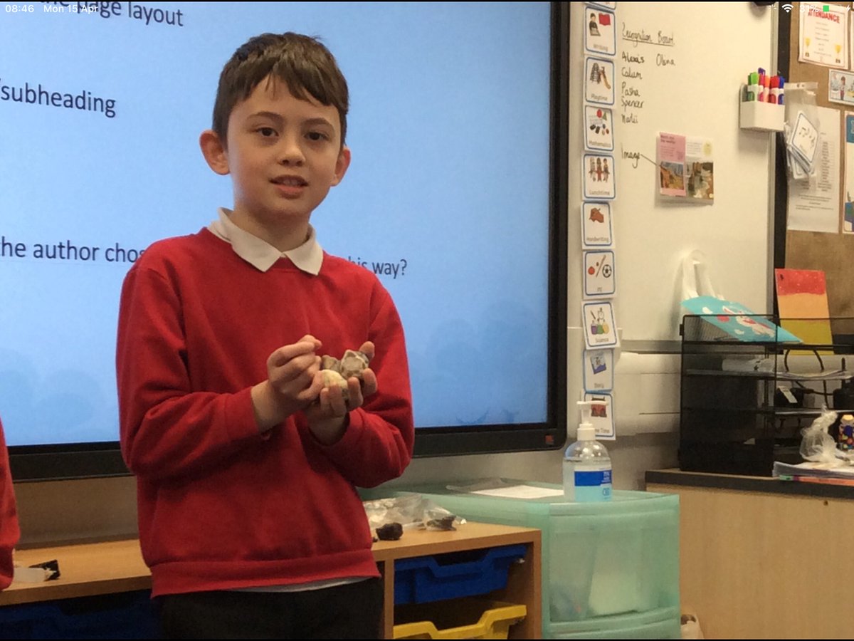 StoneferryPS's tweet photo. Year 3 have loved learning about Rocks in Science and Reading so much that they have been bringing in their own to show! #spsyear3 #spsscience #spsreading https://t.co/GlTAQ4HyUF