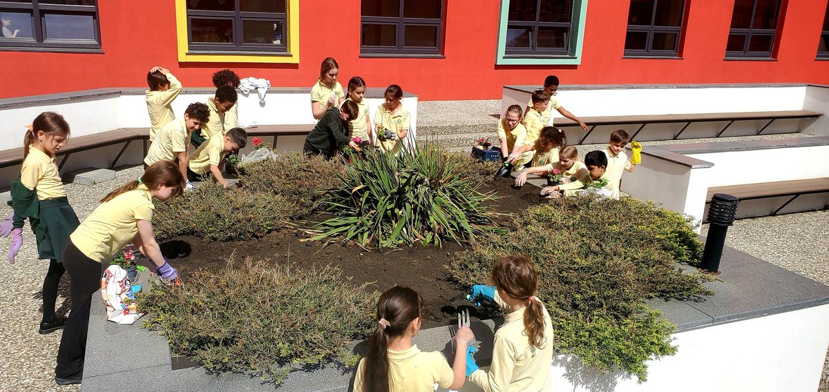 If it's #spring, it's time to plant flowers. Today @HeritagePrimary students planted beautiful flowers. #gardening
