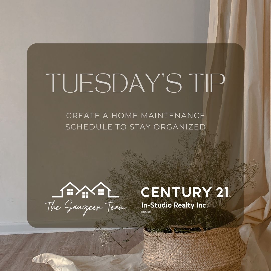 Tuesday's Tip 🤔

#saugeenteam #century21 #realestate #saugeenshores #saugeenshoresrealestate #realtor #tuesdaystip