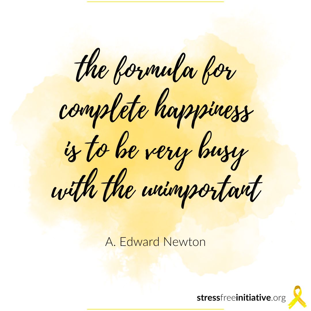 Stress Free Initiative tweet media