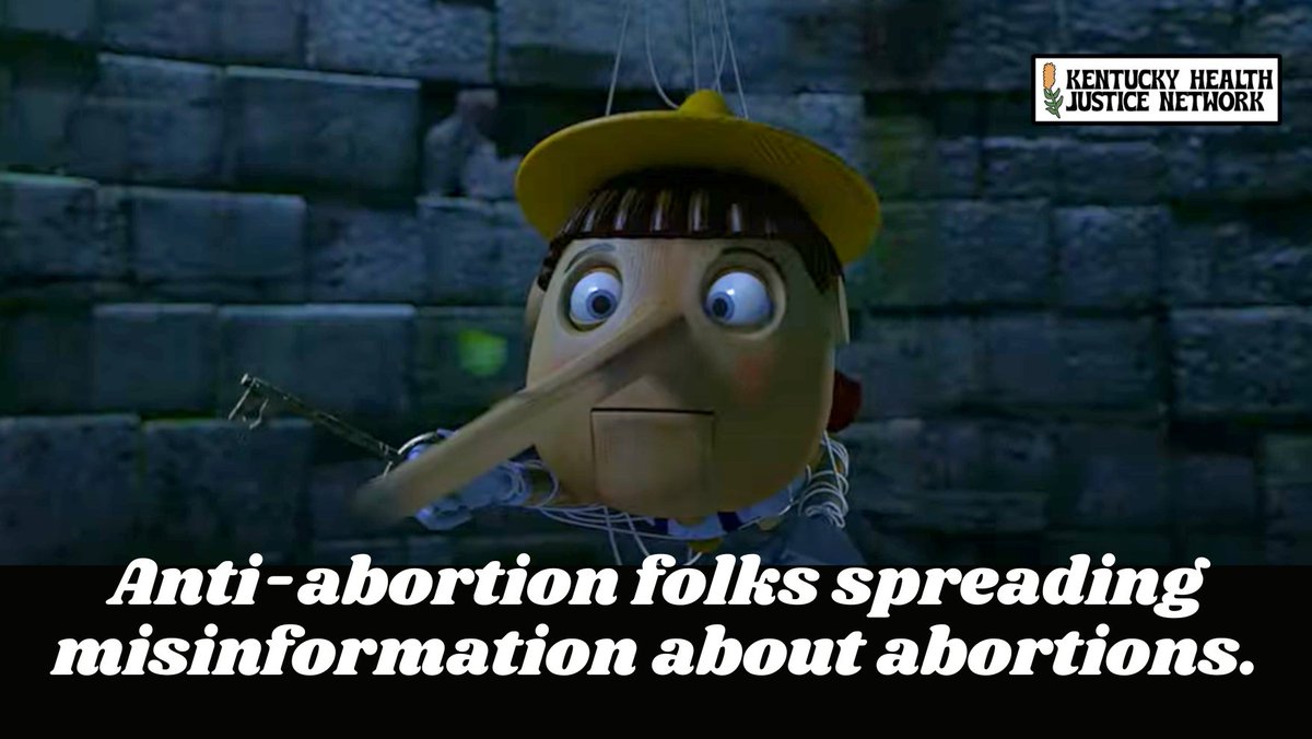 If we had a dollar for every lie spread about abortion, we wouldn't be doing this fundraiser. Alas, here we are. Donate at fund.nnaf.org/khjn24 to support our advocacy work today!