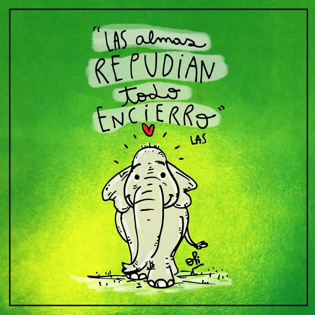 Hoy es el Día de Salvar al Elefante 🐘

👉 Firma nuestro compromiso NO participar en actividades que perpetúan el cautiverio de animales para entretenimiento en drove.com/.2yWy

📸 IG olilustraciones

#zoologico #elefantes #liberacionanimal #amolosanimales #saveelephants